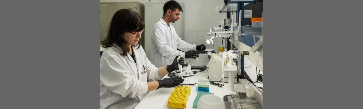 Isolation of DNA from biological samples